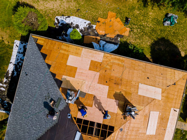 Best Roof Gutter Cleaning  in Boulder Hl, IL